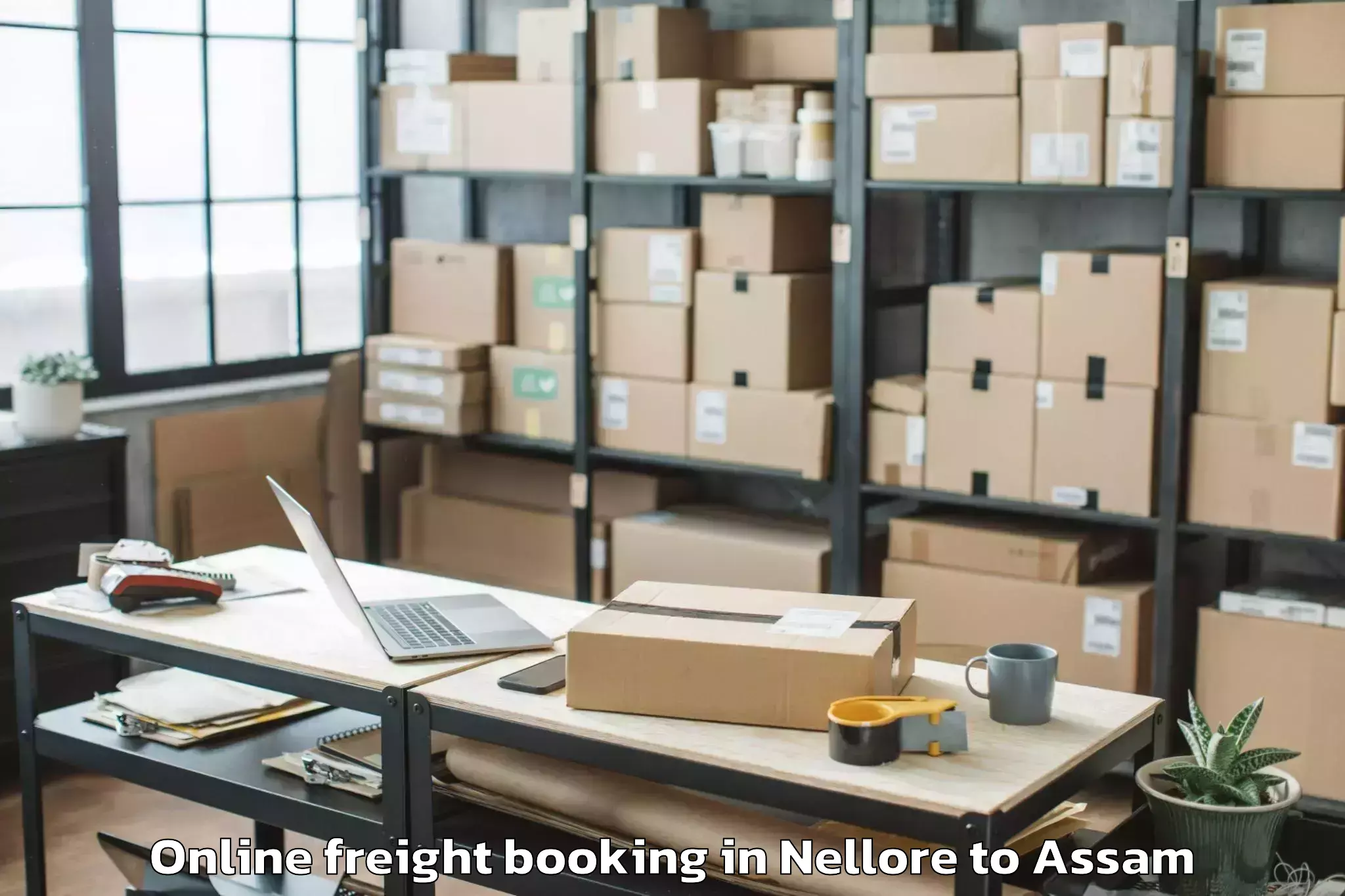 Book Nellore to Tezpur University Tezpur Online Freight Booking Online